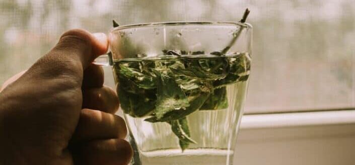  A cup of mint tea.
